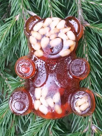 Мармелад сосновый МИШКА на пектине с кедровыми орешками Мармелад сосновый МИШКА на пектине с кедровыми орешками