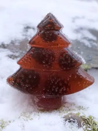 Мармелад сосновый с шишкой "Ёлочка", 90 г Мармелад сосновый с шишкой "Ёлочка", 90 г